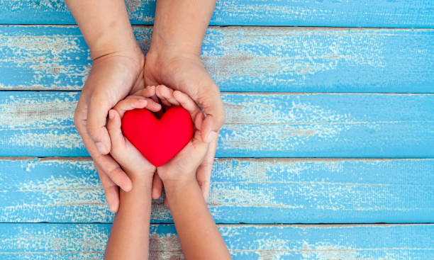 Set of hands holding a red heart, representing charity or donation.